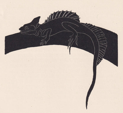 1929 BASILISK LIZARD Print Wood Engraving - Lizard Wall Art - Lizard Wood Engraving - Antique Animal Print - 95 Years Old - 7.25 x 8 Inches