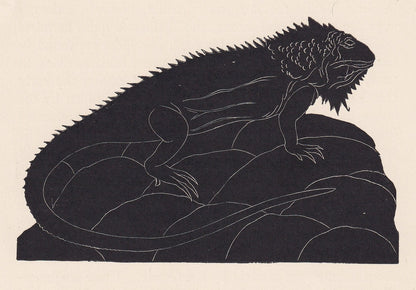 1929 IGUANA Print Wood Engraving - Lizard Wall Art - Lizard Wood Engraving - Antique Animal Print - 95 Years Old - 7.25 x 8 Inches