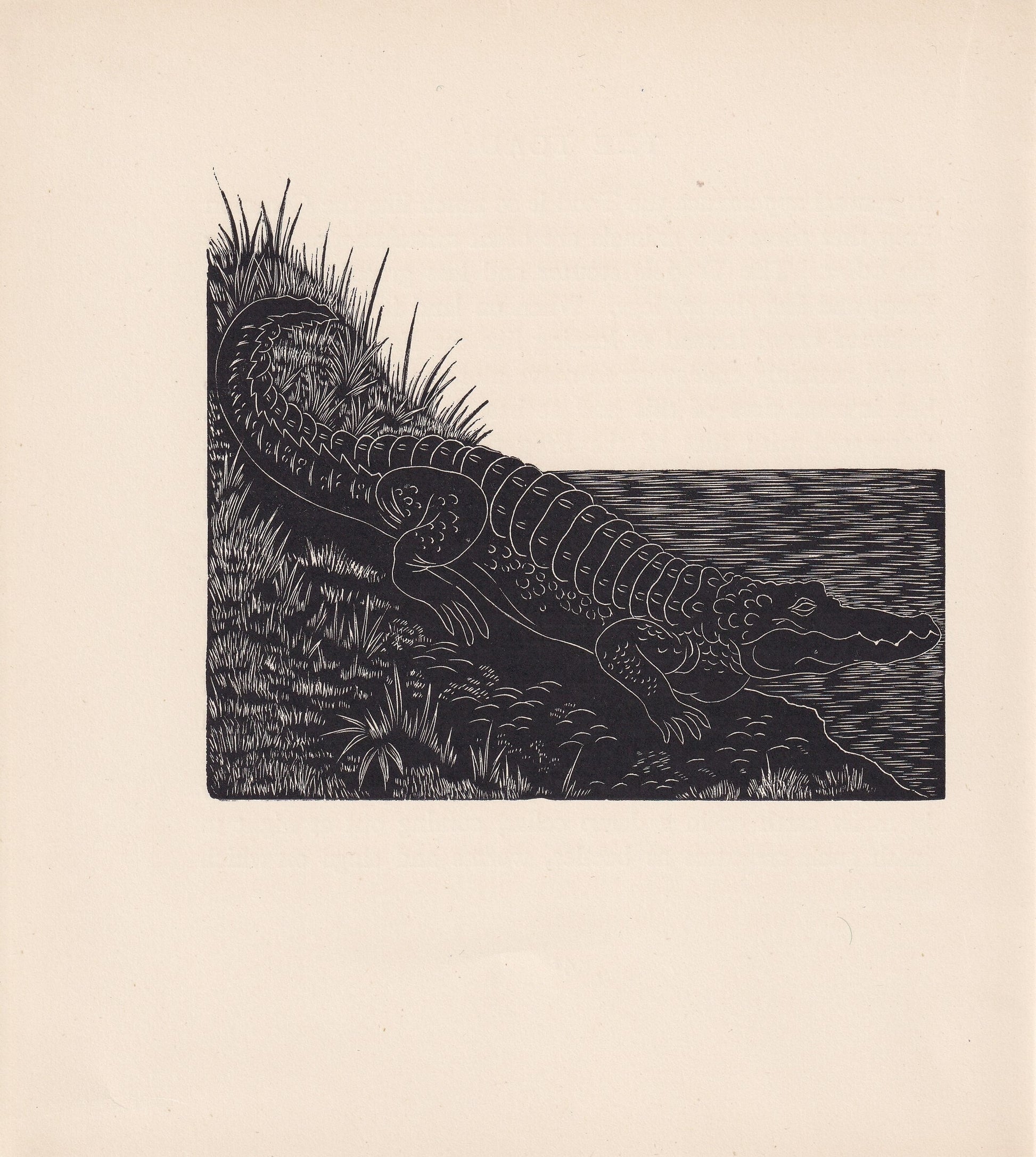 1929 CROCODILE Print Wood Engraving - Crocodile Wall Art - Lizard Engraving - Antique Animal Print - 95 Years Old - 7.25 x 8 Inches