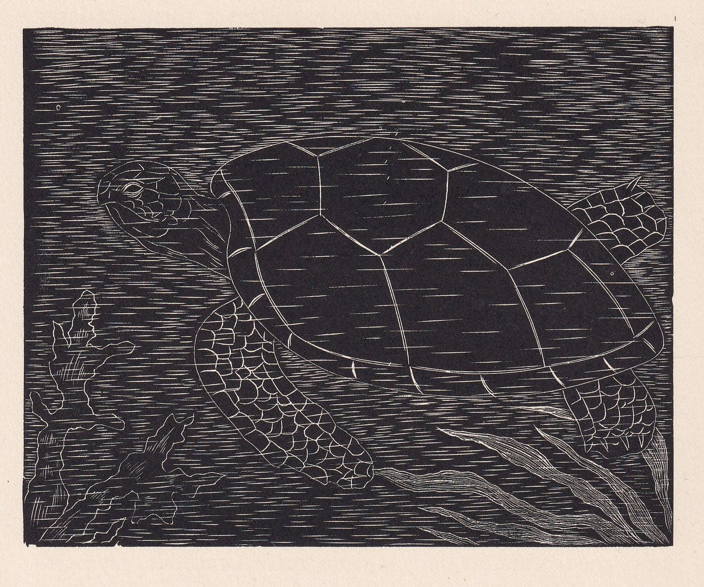 1929 TURTLE Print Wood Engraving - Turtle Wall Art - Turtle Wood Engraving - Antique Animal Print - 95 Years Old - 7.25 x 8 I