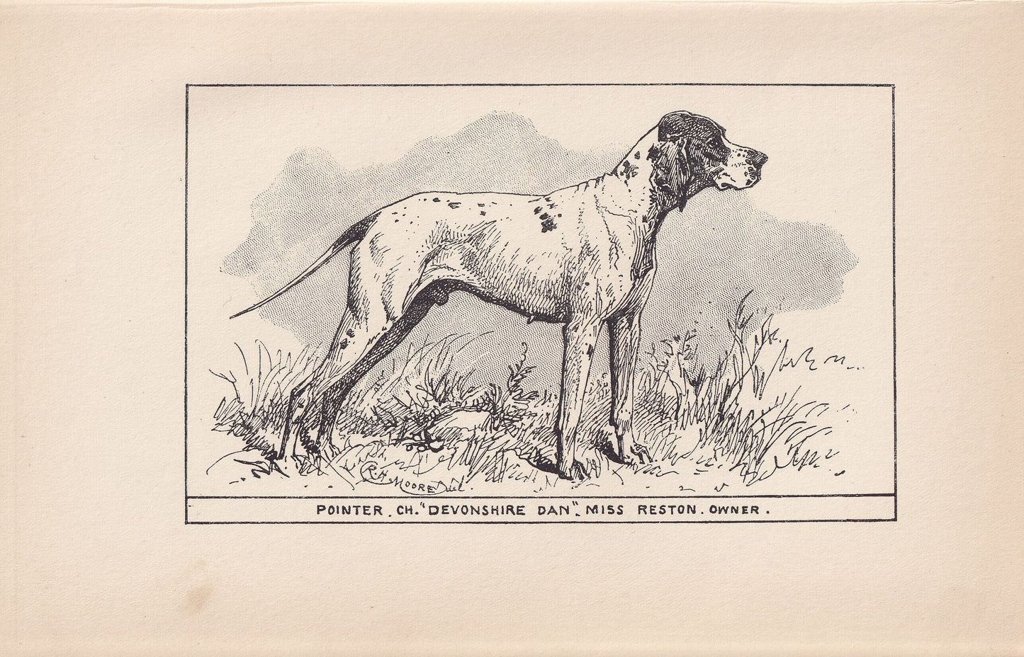 1900 POINTER DOG Print - Original Antique Dog Print - R. H. Moore - Dog Wall Art - Dog Lover - Dog Gift - 8.6 x 5.6 Inches