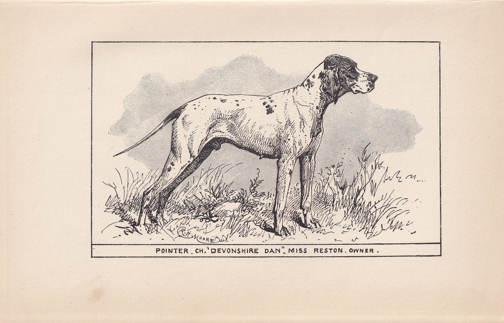 1900 POINTER DOG Print - Original Antique Dog Print - R. H. Moore - Dog Wall Art - Dog Lover - Dog Gift - 8.6 x 5.6 Inches