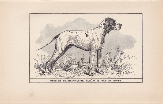 1900 POINTER DOG Print - Original Antique Dog Print - R. H. Moore - Dog Wall Art - Dog Lover - Dog Gift - 8.6 x 5.6 Inches