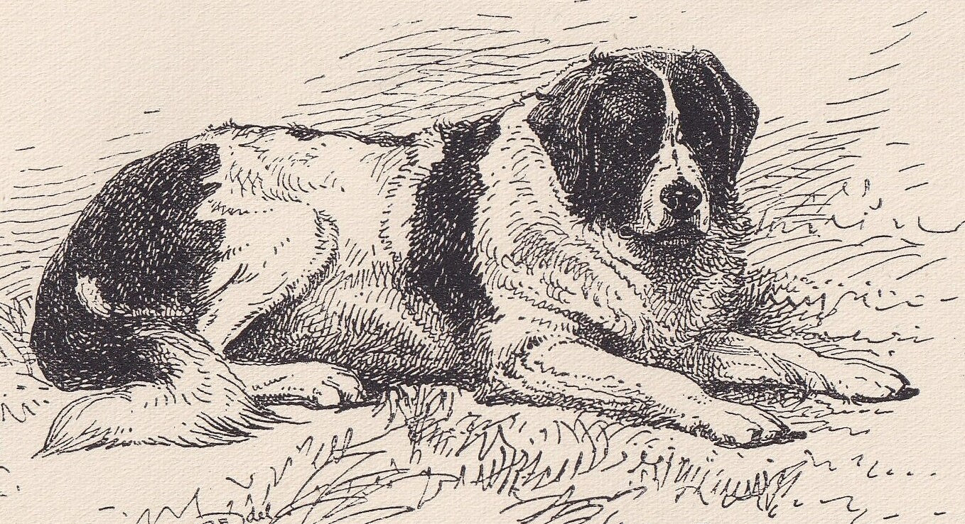1900 LANDSEER NEWFOUNDLAND DOG Print - Original Antique Dog Print - R. H. Moore - Dog Wall Art - Dog Lover - Dog Gift - 8.6 x 5.6 Inches