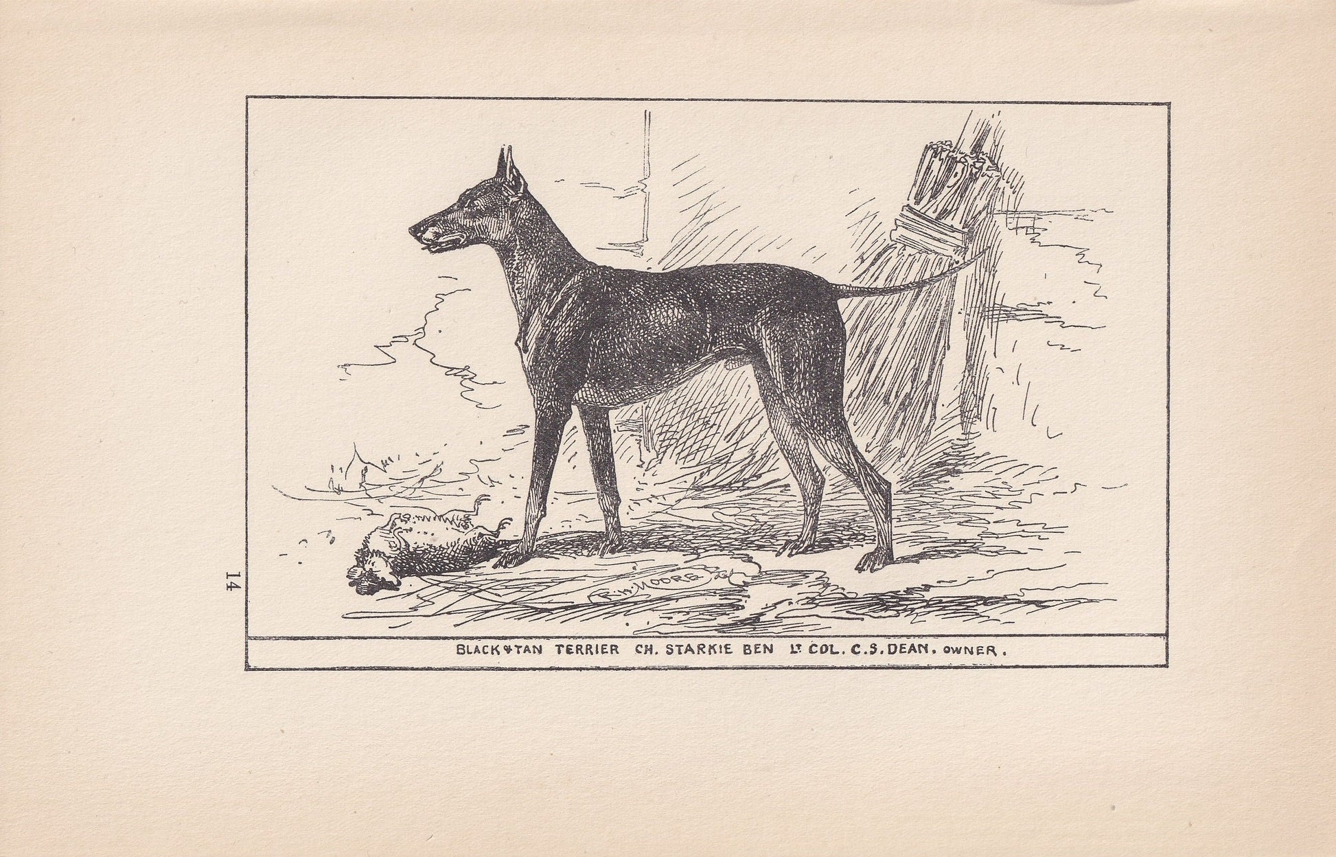 1900 BLACK & TAN TERRIER Dog Print - Original Antique Dog Print - R. H. Moore - Dog Wall Art - Dog Lover - Dog Gift - 8.6 x 5.6 Inches