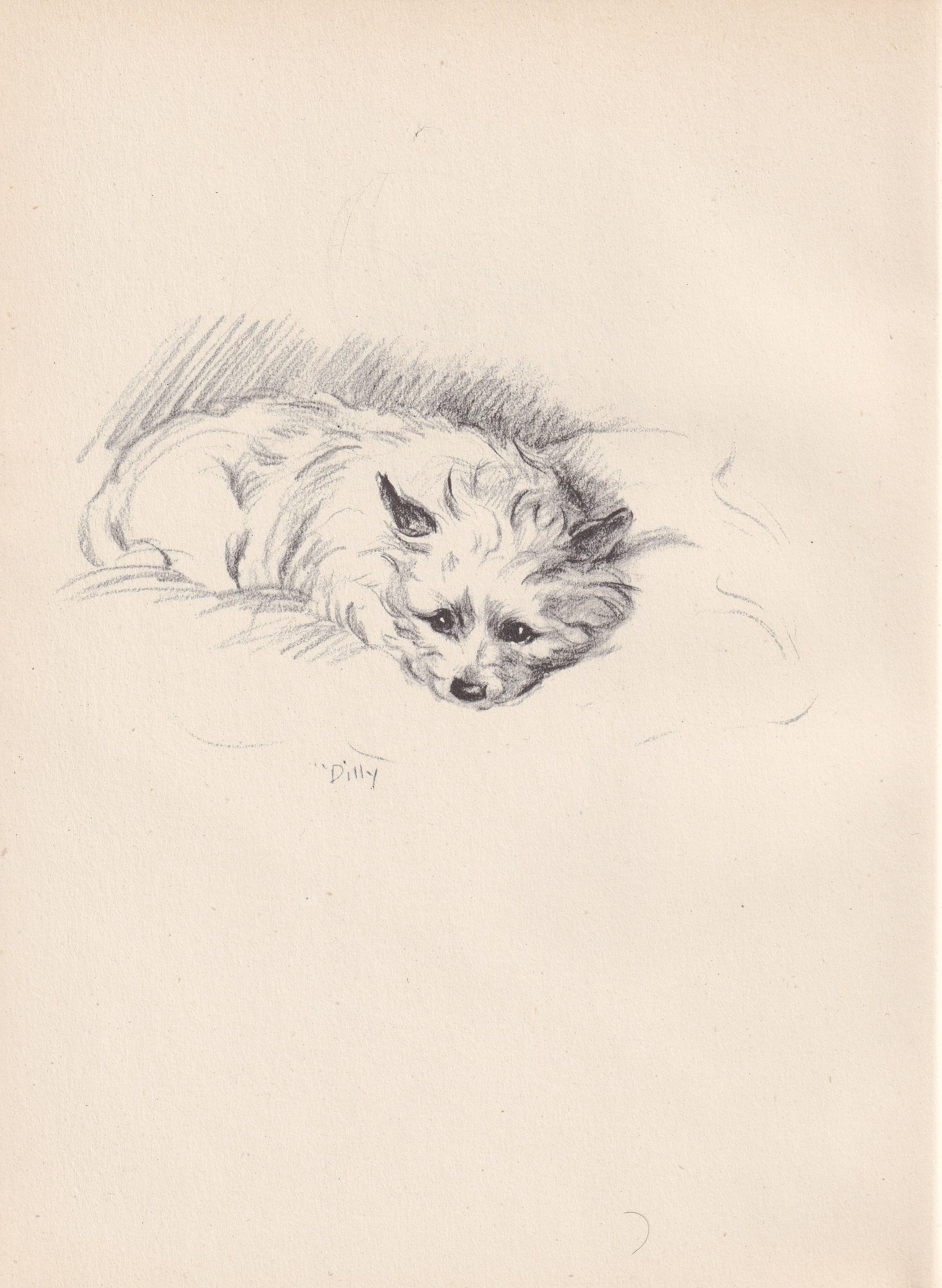 1946 CAIRN TERRIER DOG Print - Lucy Dawson - Cairn Terrier Art - Original Antique Dog Print - Dog Wall Art - Dog Gift - 7 x 9.5 Inches