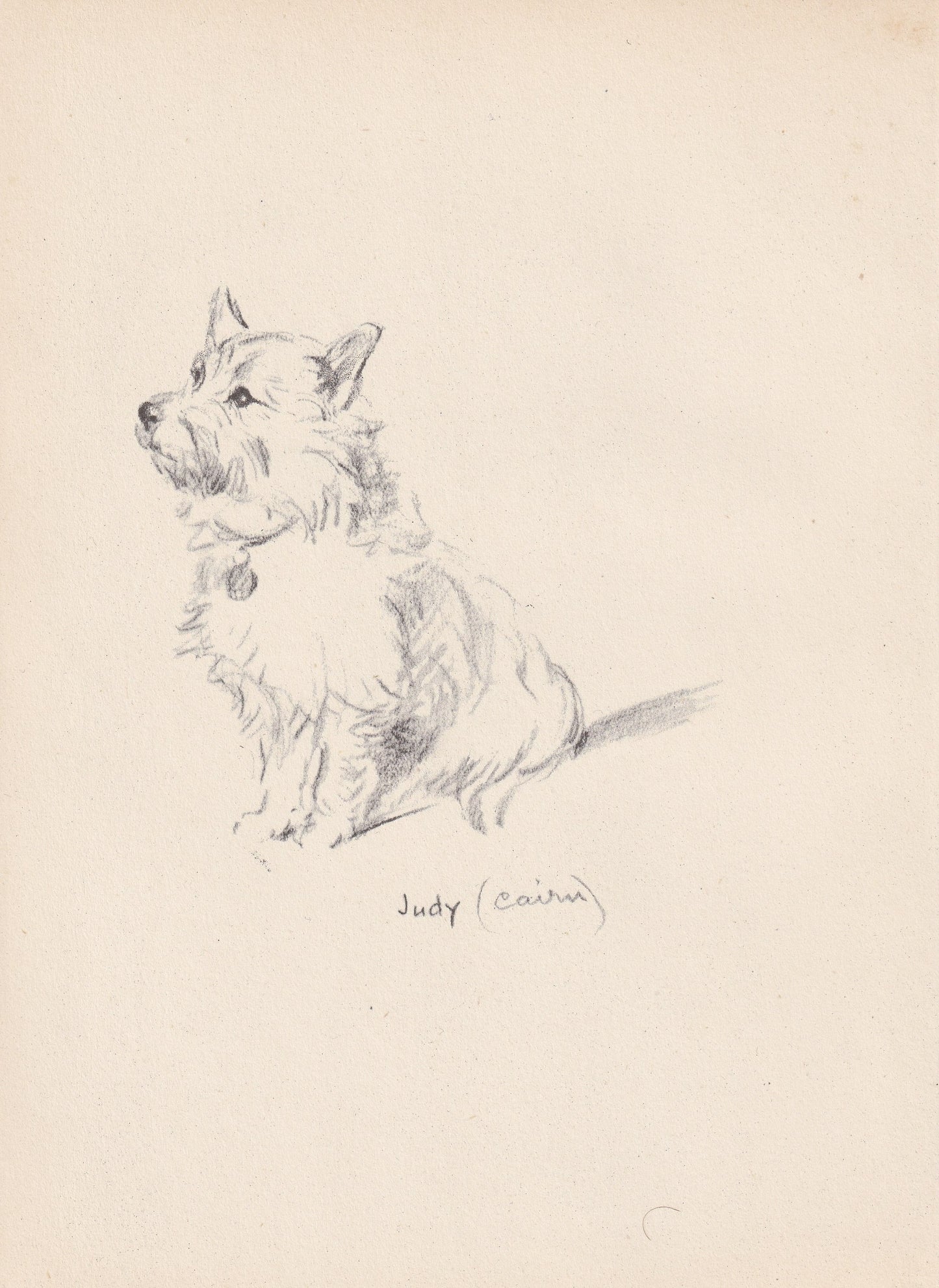 1946 CAIRN TERRIER DOG Print - Lucy Dawson - Cairn Terrier Art - Original Antique Dog Print - Dog Wall Art - Dog Gift - 7 x 9.5 Inches