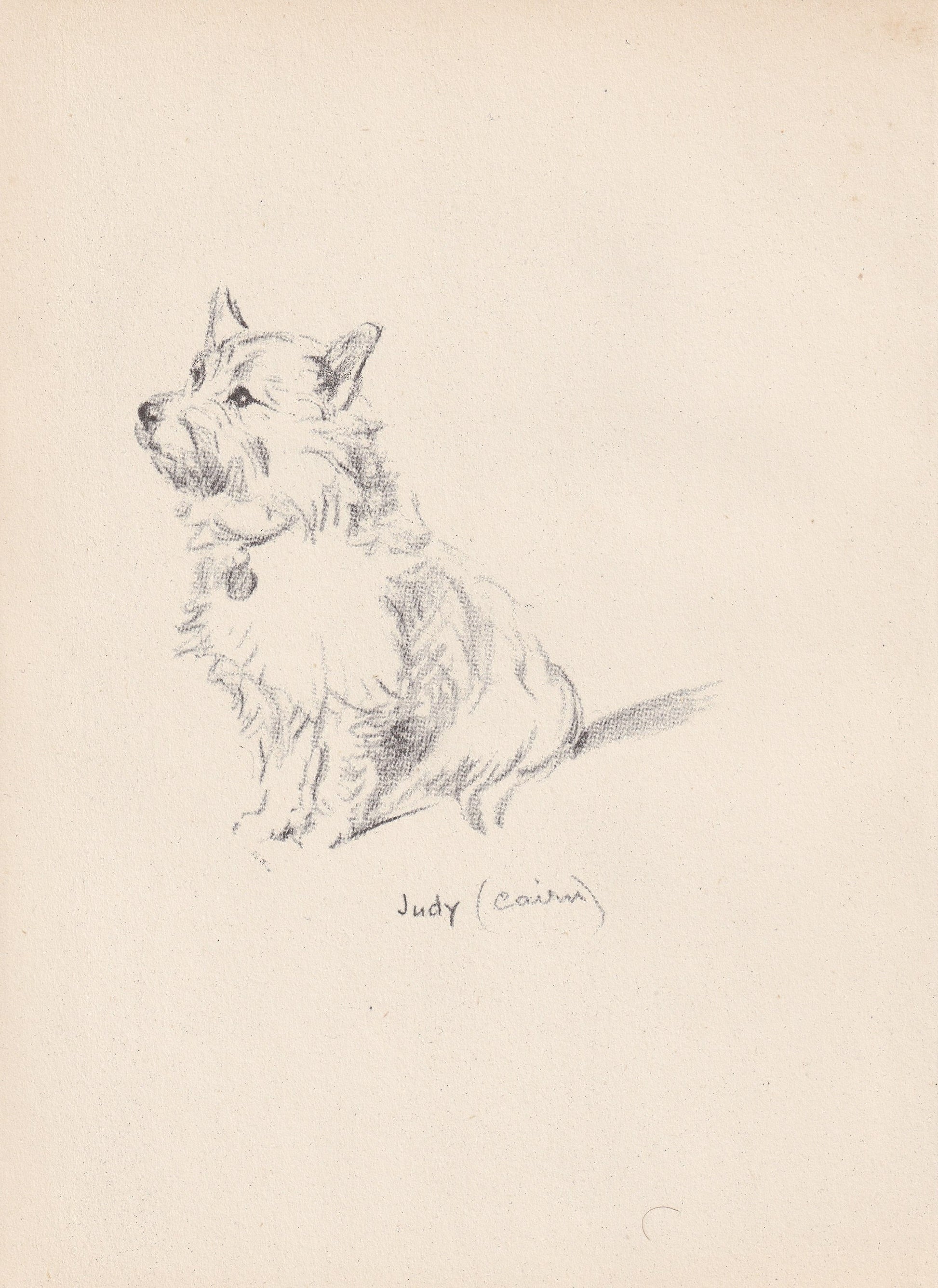 1946 CAIRN TERRIER DOG Print - Lucy Dawson - Cairn Terrier Art - Original Antique Dog Print - Dog Wall Art - Dog Gift - 7 x 9.5 Inches