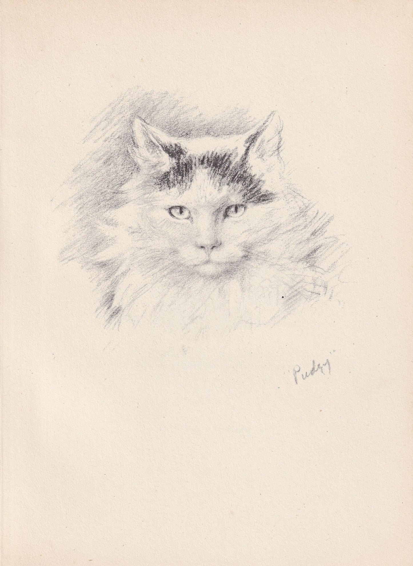 1946 CAT Print - Lucy Dawson - Cat Art - Original Antique Cat Print - Cat Wall Art - Cat Gift - 7 x 9.5 Inches