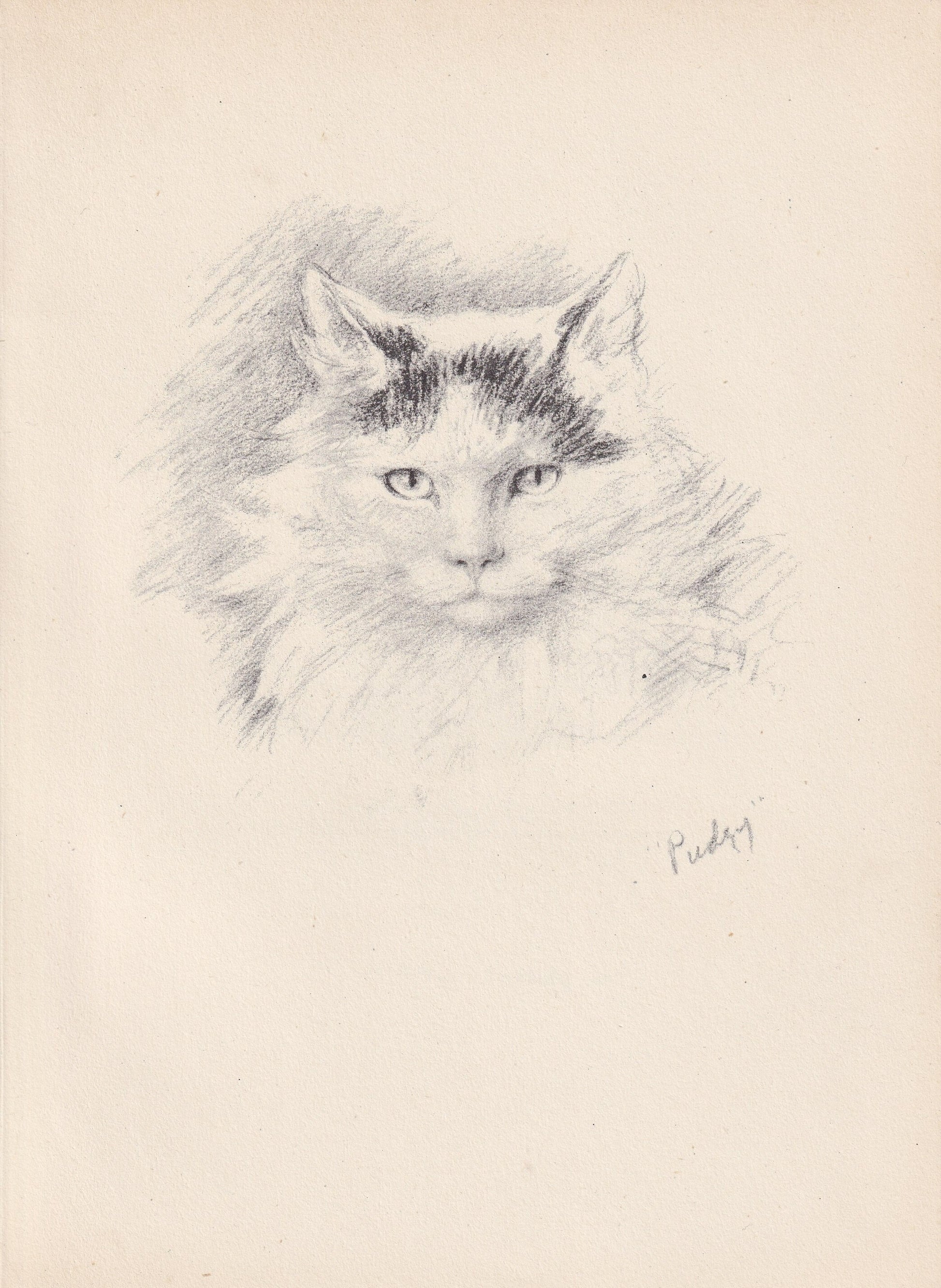 1946 CAT Print - Lucy Dawson - Cat Art - Original Antique Cat Print - Cat Wall Art - Cat Gift - 7 x 9.5 Inches