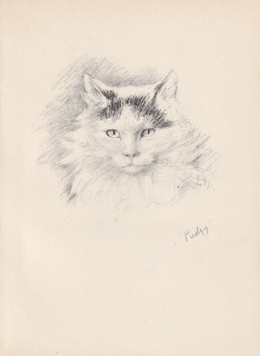 1946 CAT Print - Lucy Dawson - Cat Art - Original Antique Cat Print - Cat Wall Art - Cat Gift - 7 x 9.5 Inches