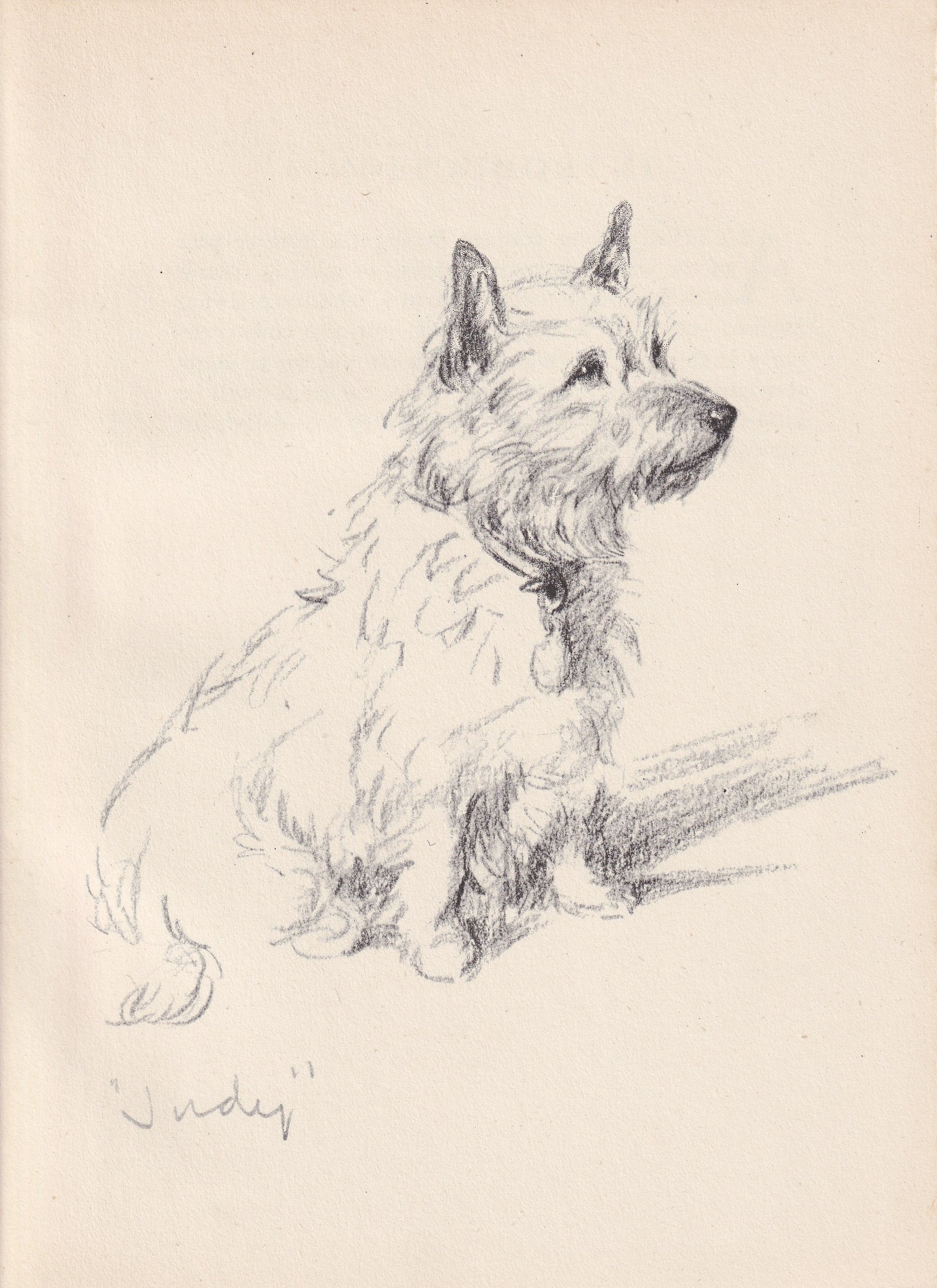 1946 CAIRN TERRIER DOG Print - Lucy Dawson - Cairn Terrier Art - Original Antique Dog Print - Dog Wall Art - Dog Gift - 7 x 9.5 Inches