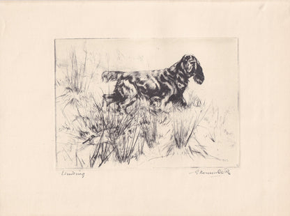 1930 COCKER SPANIEL DOG Print - Original Antique Dog Print - Vernon Stokes - Dog Wall Art - Dog Gift - 11 x 8.25 Inches