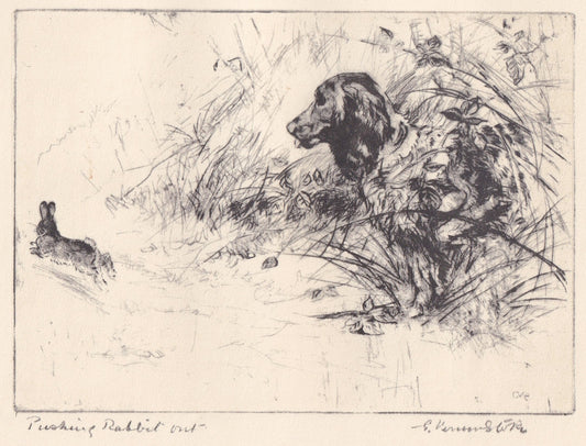 1930 SPRINGER SPANIEL DOG Print - Original Antique Dog Print - Vernon Stokes - Dog Wall Art - Dog Gift - 11 x 8.25 Inches