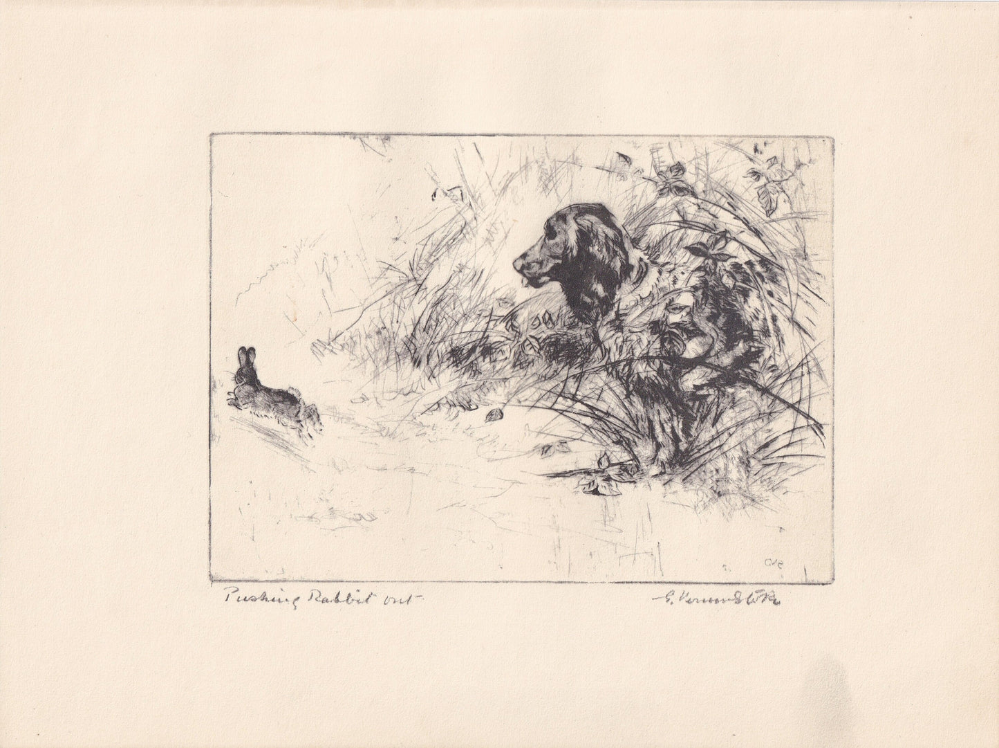 1930 SPRINGER SPANIEL DOG Print - Original Antique Dog Print - Vernon Stokes - Dog Wall Art - Dog Gift - 11 x 8.25 Inches