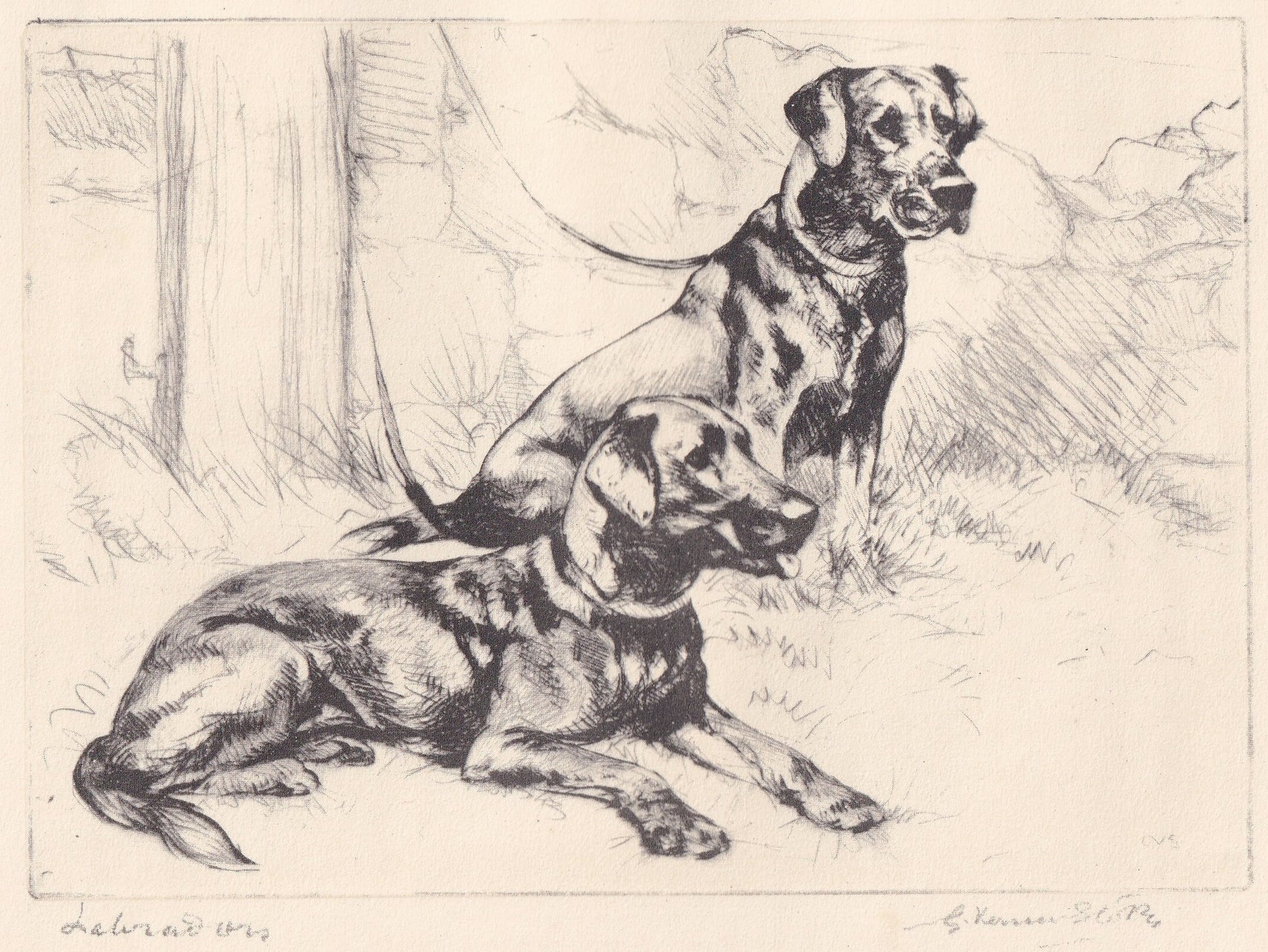 1930 LABRADOR RETRIEVER DOG Print - Original Antique Dog Print - Vernon Stokes - Dog Wall Art - Dog Gift - 11 x 8.25 Inches