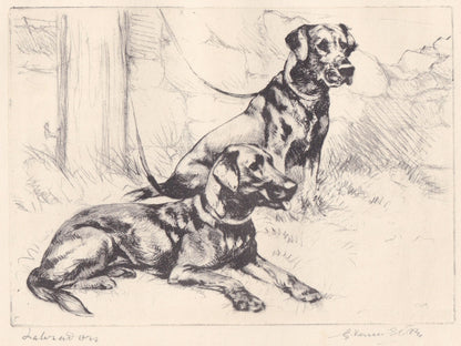 1930 LABRADOR RETRIEVER DOG Print - Original Antique Dog Print - Vernon Stokes - Dog Wall Art - Dog Gift - 11 x 8.25 Inches