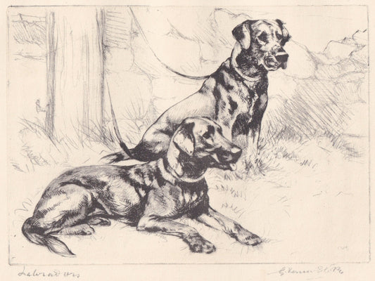 1930 LABRADOR RETRIEVER DOG Print - Original Antique Dog Print - Vernon Stokes - Dog Wall Art - Dog Gift - 11 x 8.25 Inches