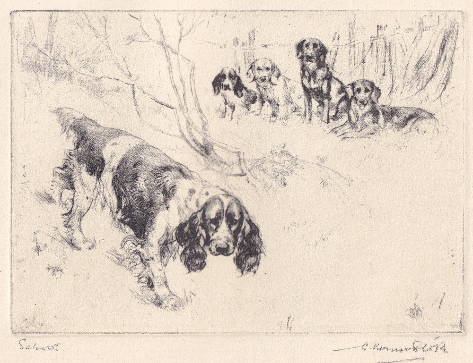 1930 SPRINGER SPANIEL DOG Print - Original Antique Dog Print - Vernon Stokes - Dog Wall Art - Dog Gift - 11 x 8.25 Inches