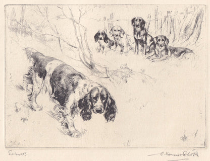 1930 SPRINGER SPANIEL DOG Print - Original Antique Dog Print - Vernon Stokes - Dog Wall Art - Dog Gift - 11 x 8.25 Inches