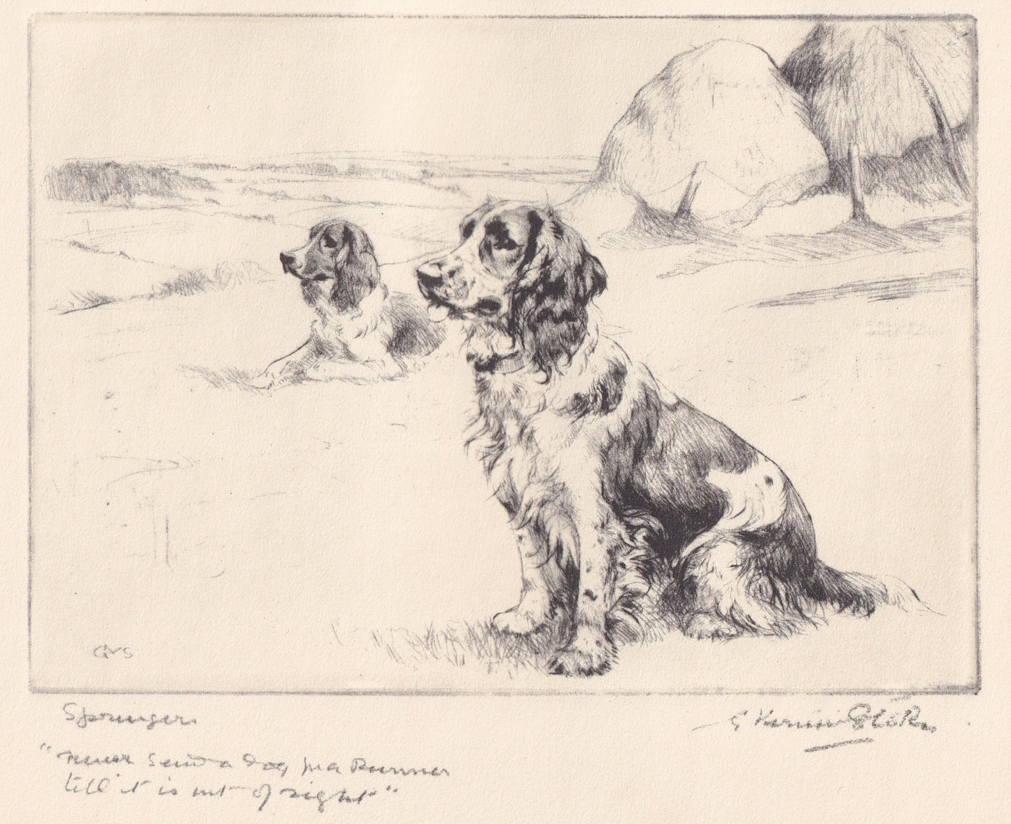 1930 SPRINGER SPANIEL DOG Print - Original Antique Dog Print - Vernon Stokes - Dog Wall Art - Dog Gift - 11 x 8.25 Inches