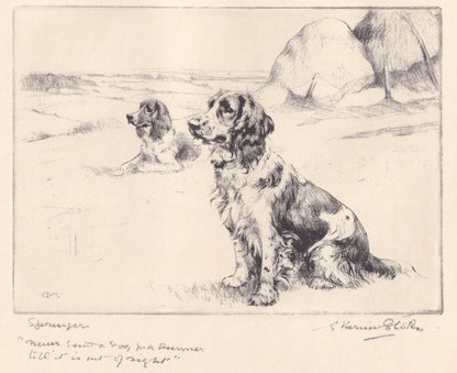 1930 SPRINGER SPANIEL DOG Print - Original Antique Dog Print - Vernon Stokes - Dog Wall Art - Dog Gift - 11 x 8.25 Inches