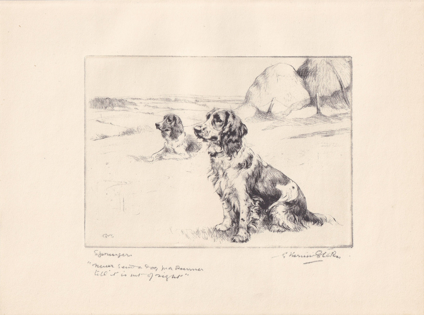 1930 SPRINGER SPANIEL DOG Print - Original Antique Dog Print - Vernon Stokes - Dog Wall Art - Dog Gift - 11 x 8.25 Inches