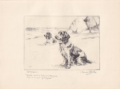 1930 SPRINGER SPANIEL DOG Print - Original Antique Dog Print - Vernon Stokes - Dog Wall Art - Dog Gift - 11 x 8.25 Inches