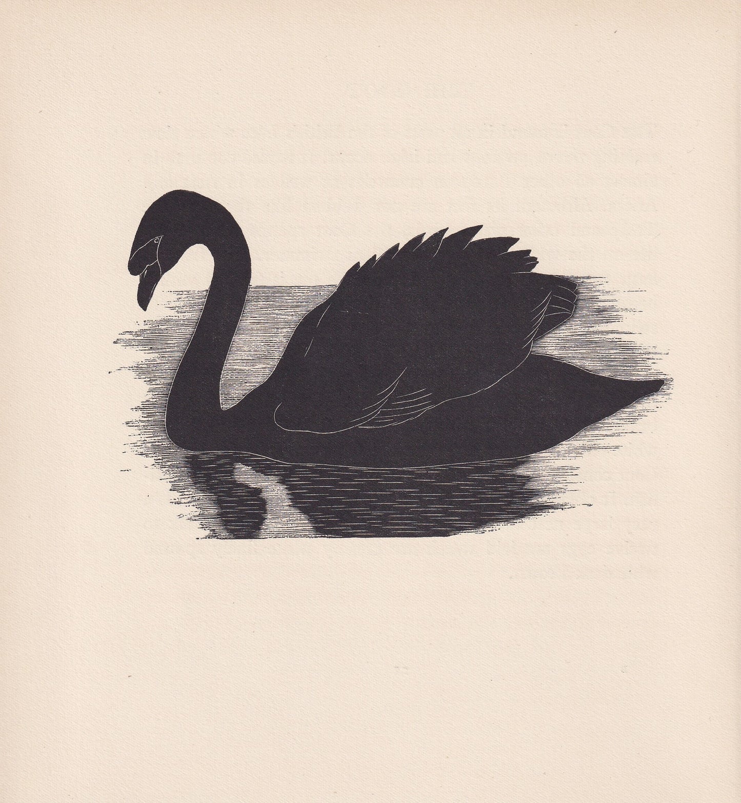 1929 SWAN BIRD Print Wood Engraving - Bird Wall Art - Bird Wood Engraving - Antique Animal Print - 95 Years Old - 7.15 x 7.75 Inches