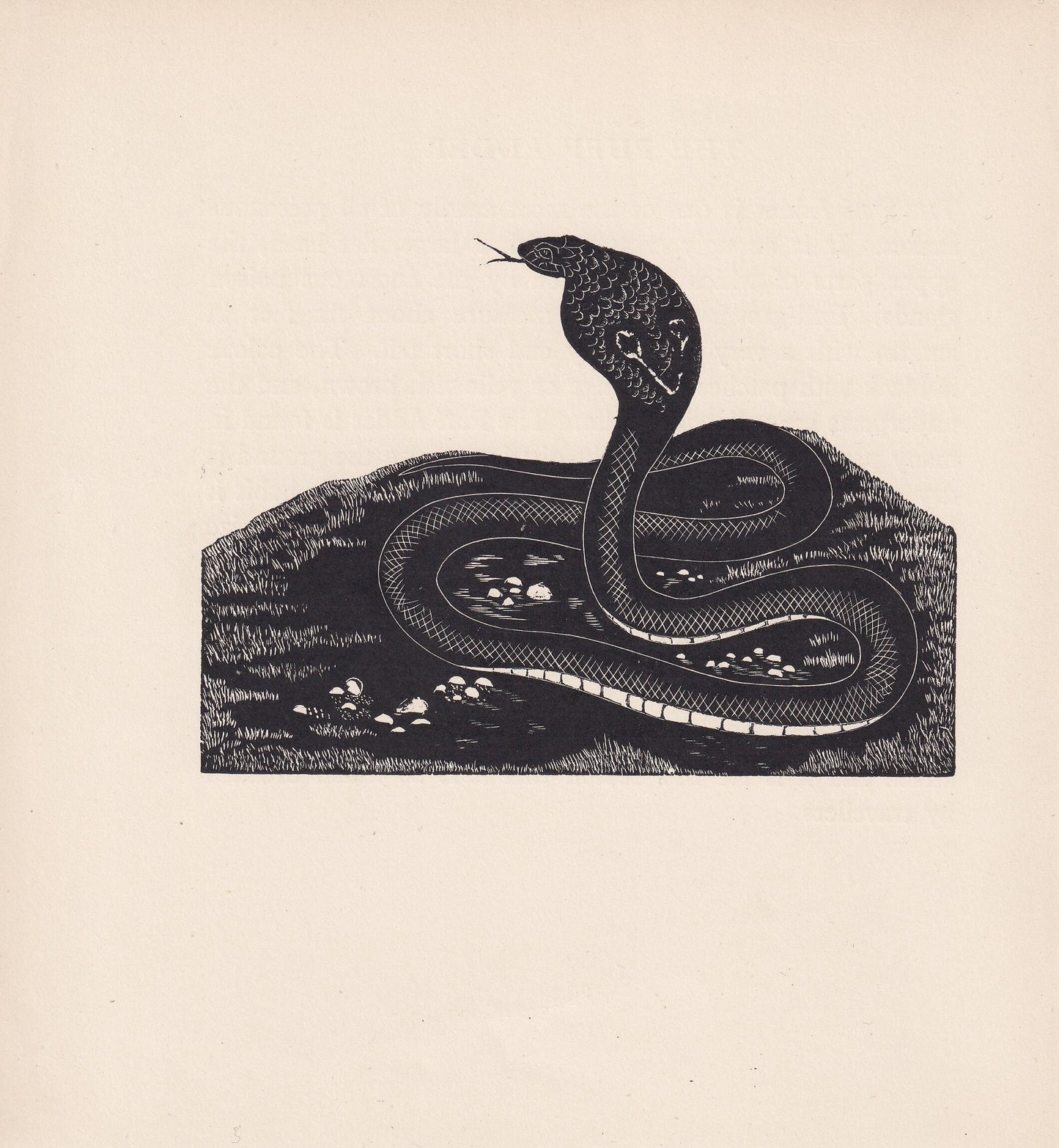 1929 COBRA SNAKE Print Wood Engraving - Cobra Wall Art - Snake Engraving - Antique Animal Print - 95 Years Old - 7.15 x 7.75 