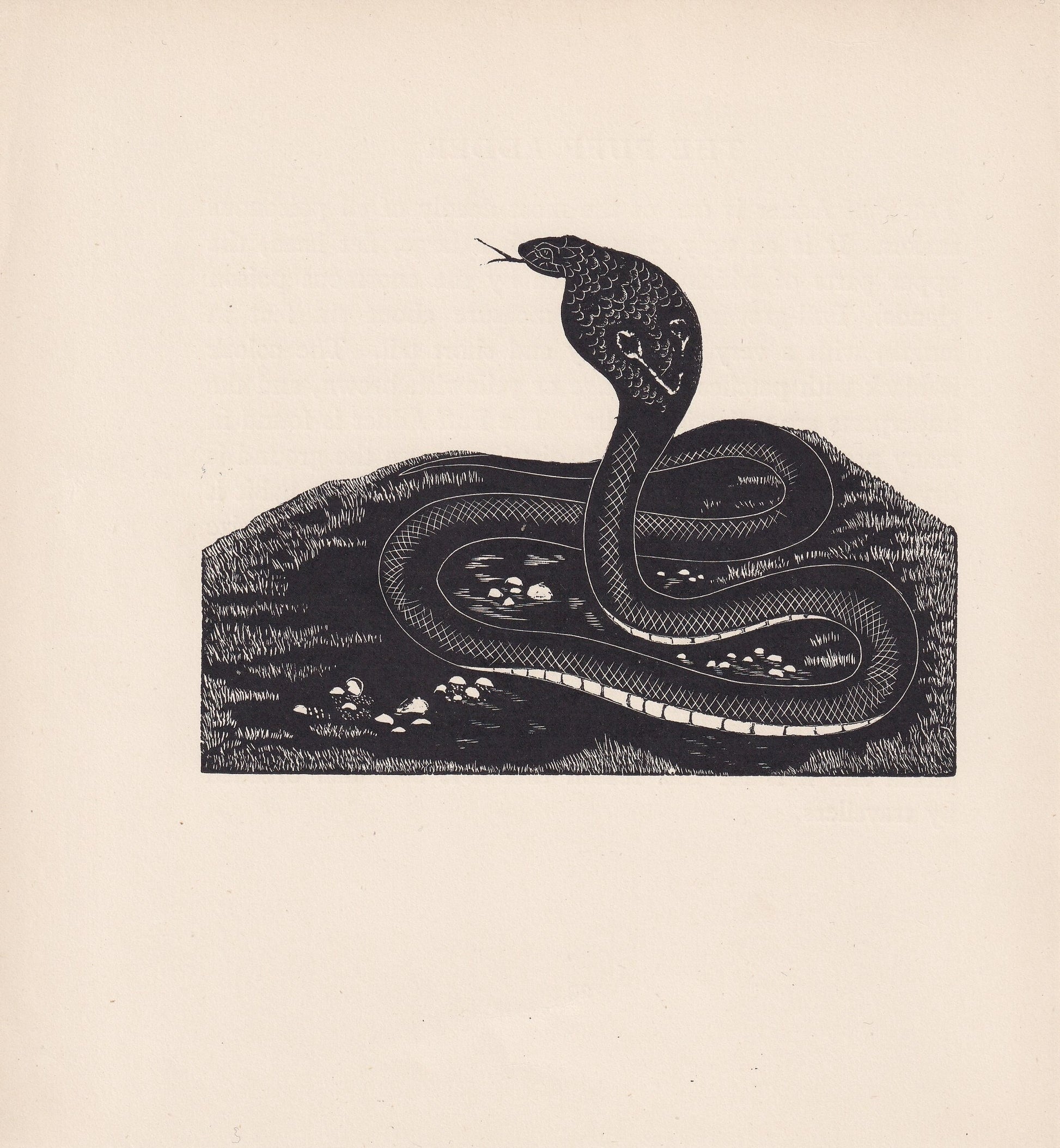 1929 COBRA SNAKE Print Wood Engraving - Cobra Wall Art - Snake Engraving - Antique Animal Print - 95 Years Old - 7.15 x 7.75 