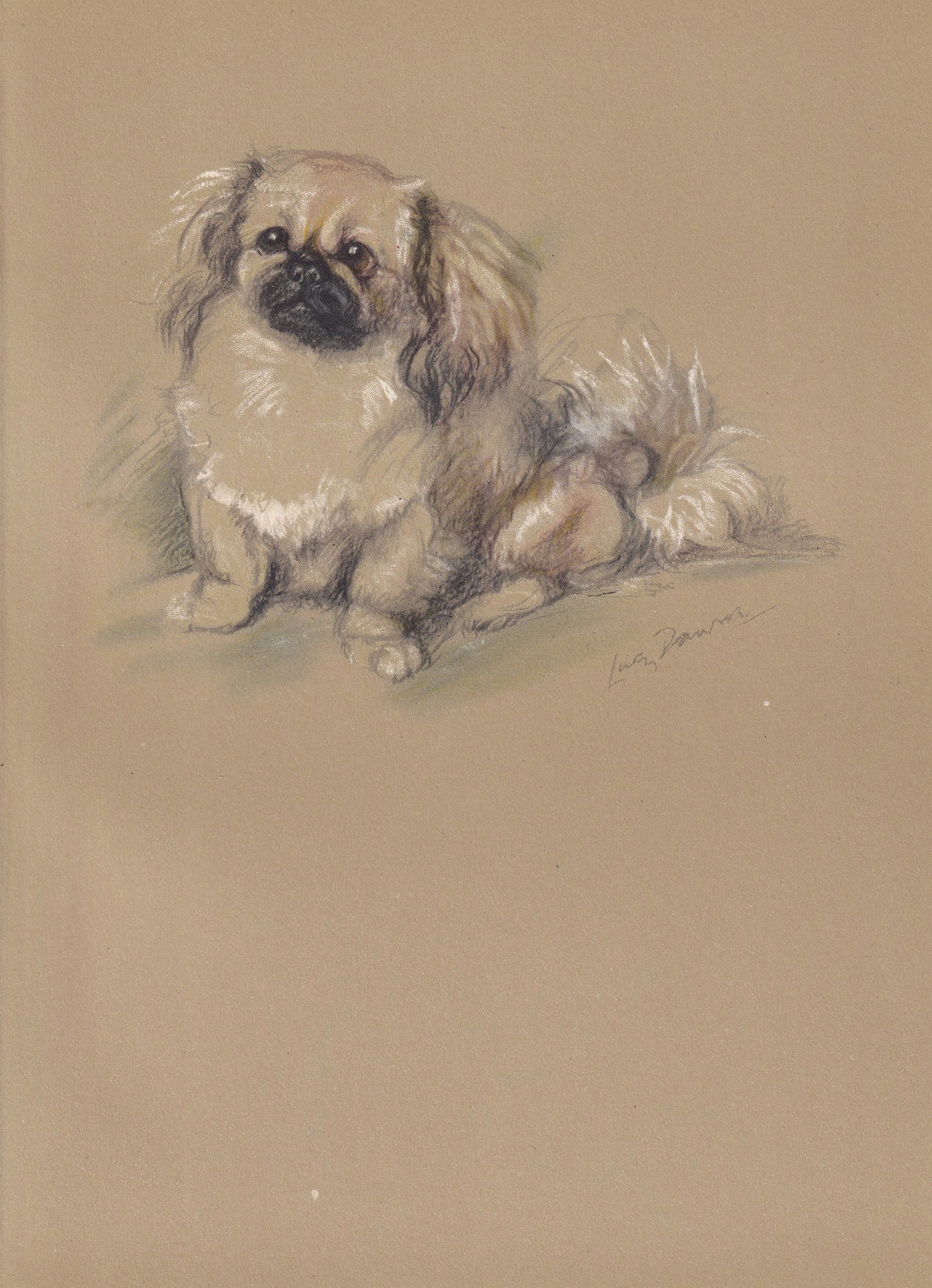 1946 PEKINGESE DOG Print - Lucy Dawson - Pekingese Art - Original Antique Dog Print - Dog Wall Art - Dog Gift - 7 x 9.5 Inches