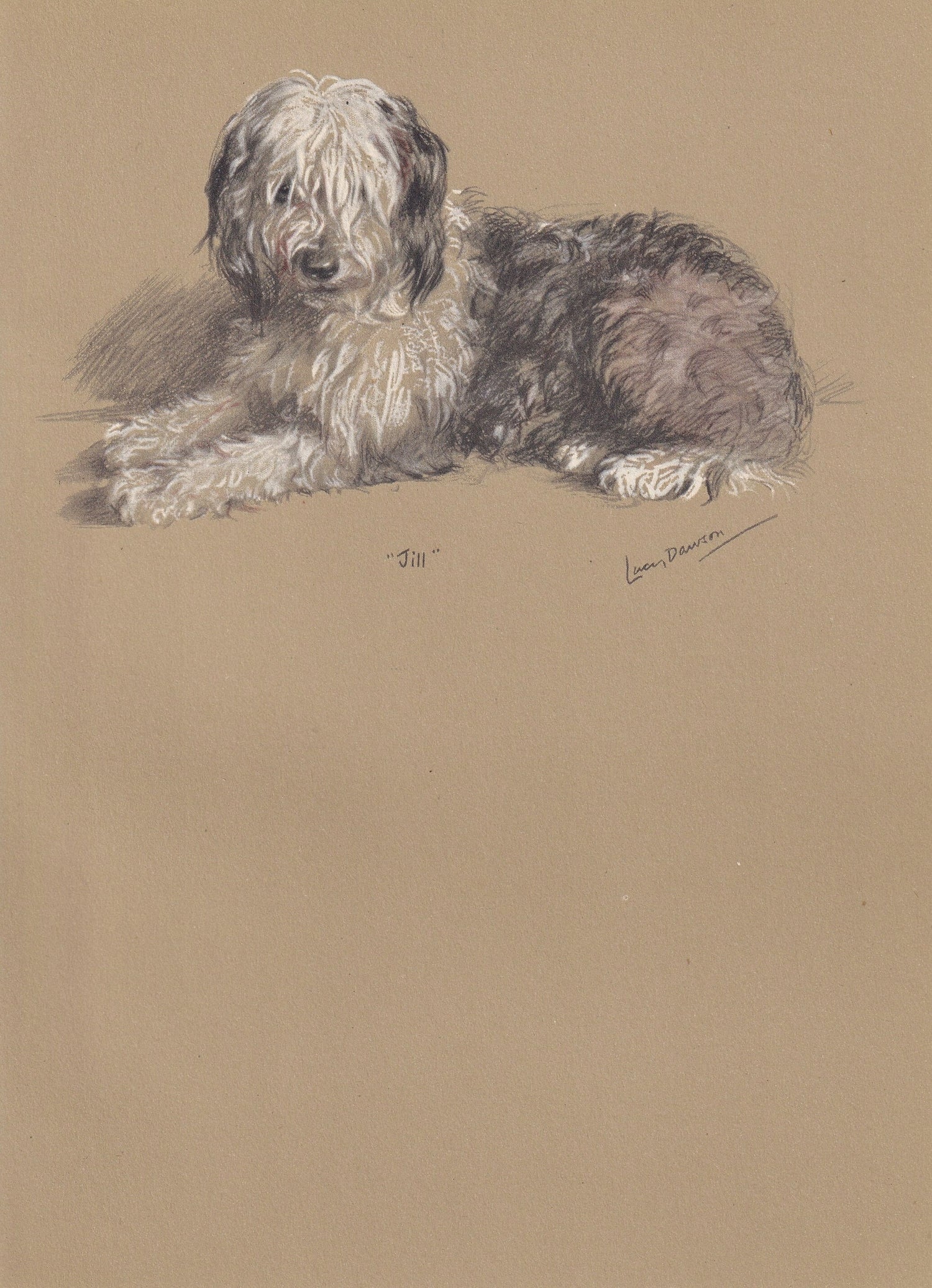 1946 OLD ENGLISH SHEEPDOG Print - Lucy Dawson - Sheepdog Art - Original Antique Dog Print - Dog Wall Art - Dog Gift - 7 x 9.5 Inches