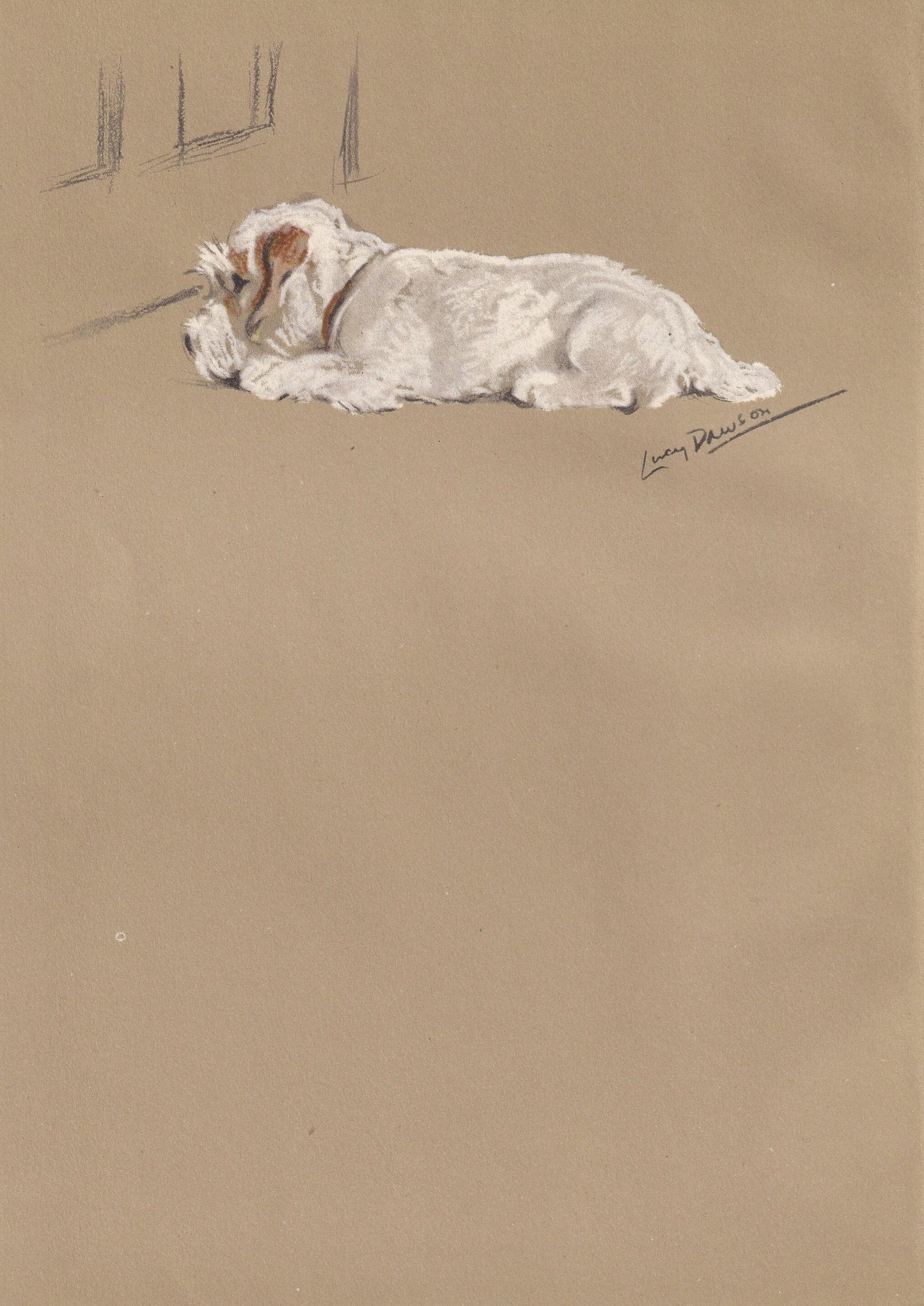 1946 SEALYHAM TERRIER DOG Print - Lucy Dawson - Sealyham Art - Original Antique Dog Print - Dog Wall Art - Dog Gift - 7 x 9.5 Inches
