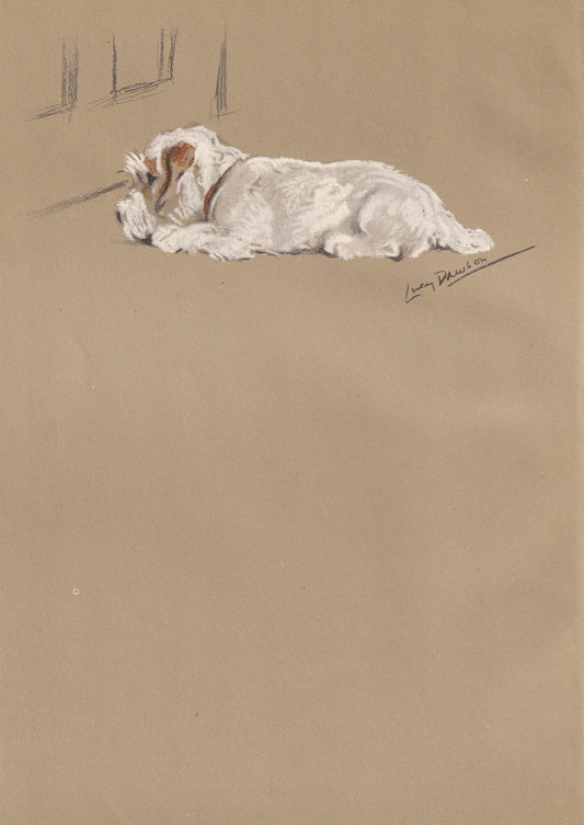 1946 SEALYHAM TERRIER DOG Print - Lucy Dawson - Sealyham Art - Original Antique Dog Print - Dog Wall Art - Dog Gift - 7 x 9.5 Inches