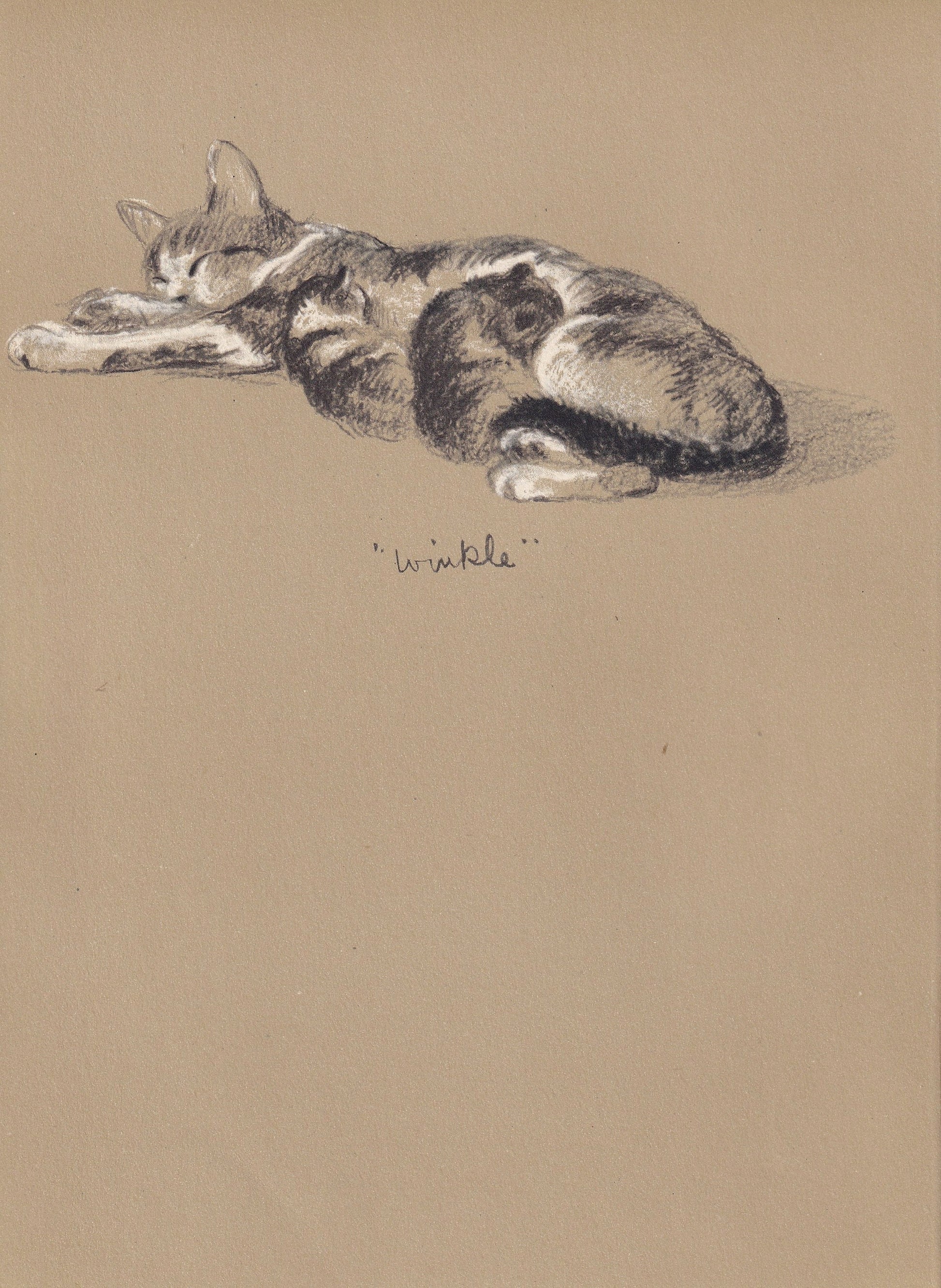 1946 MOTHER CAT & KITTENS Print - Lucy Dawson - Cat Art - Original Antique Cat Print - Cat Wall Art - Cat Gift - 7 x 9.5 Inches