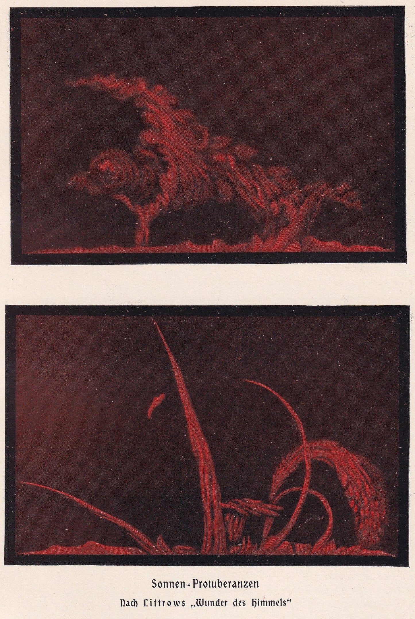 1900 SOLAR PROMINENCE Print - Solar Filament - Sun Print - Astronomy Print - Original Vintage Print - 124 Years Old - 7.75 x 
