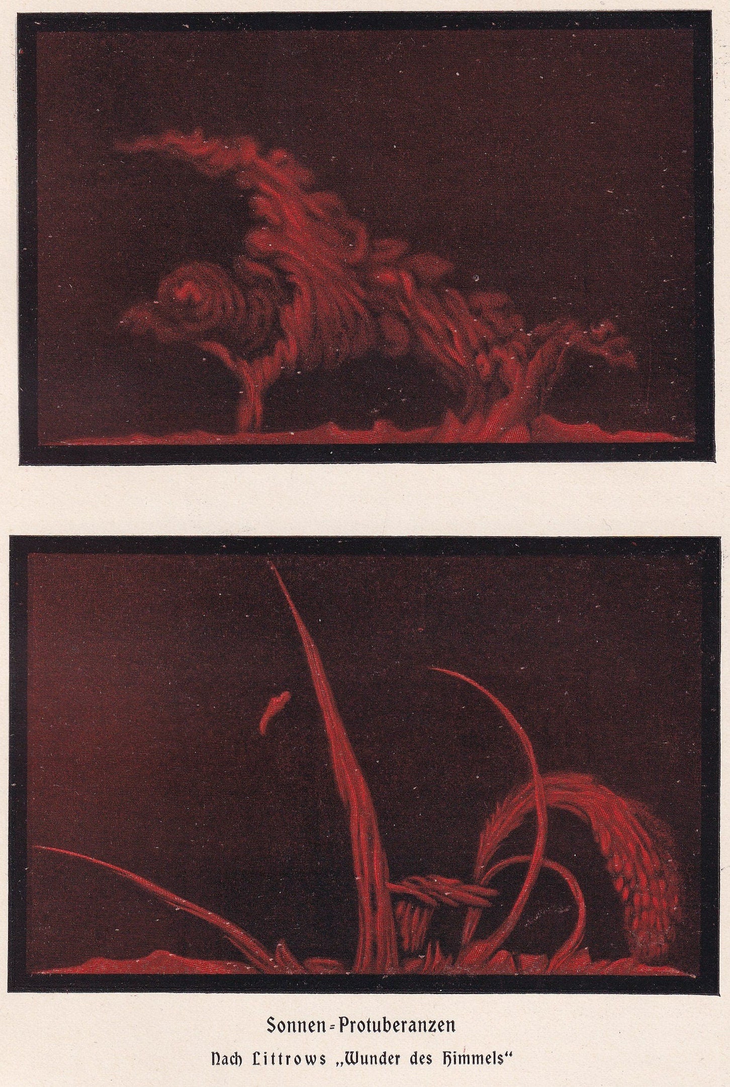 1900 SOLAR PROMINENCE Print - Solar Filament - Sun Print - Astronomy Print - Original Vintage Print - 124 Years Old - 7.75 x 
