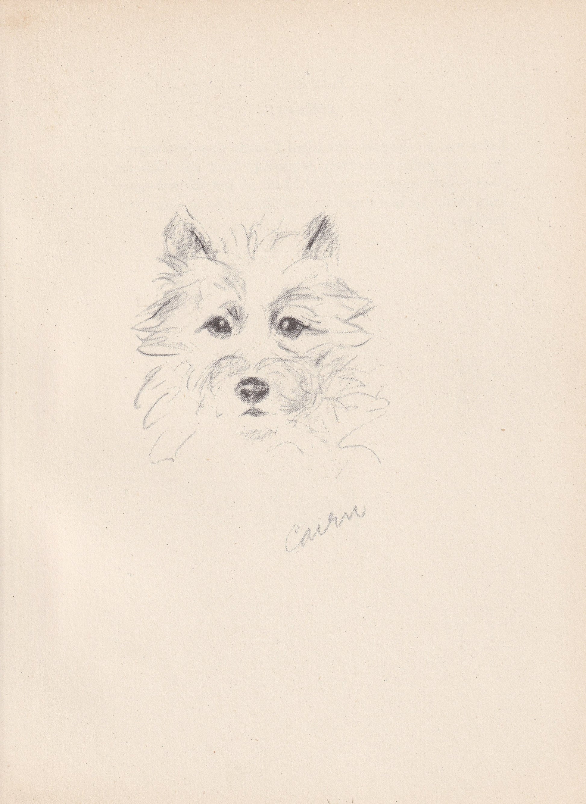 1946 CAIRN TERRIER DOG Print - Lucy Dawson - Cairn Terrier Art - Original Antique Dog Print - Dog Wall Art - Dog Gift - 7 x 9.5 Inches