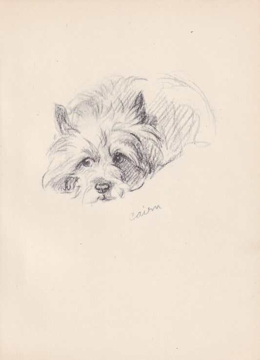 1946 SCOTTISH TERRIER DOG Print - Lucy Dawson - Scottish Terrier Art - Original Antique Dog Print - Dog Wall Art - Dog Gift - 7 x 9.5 Inches