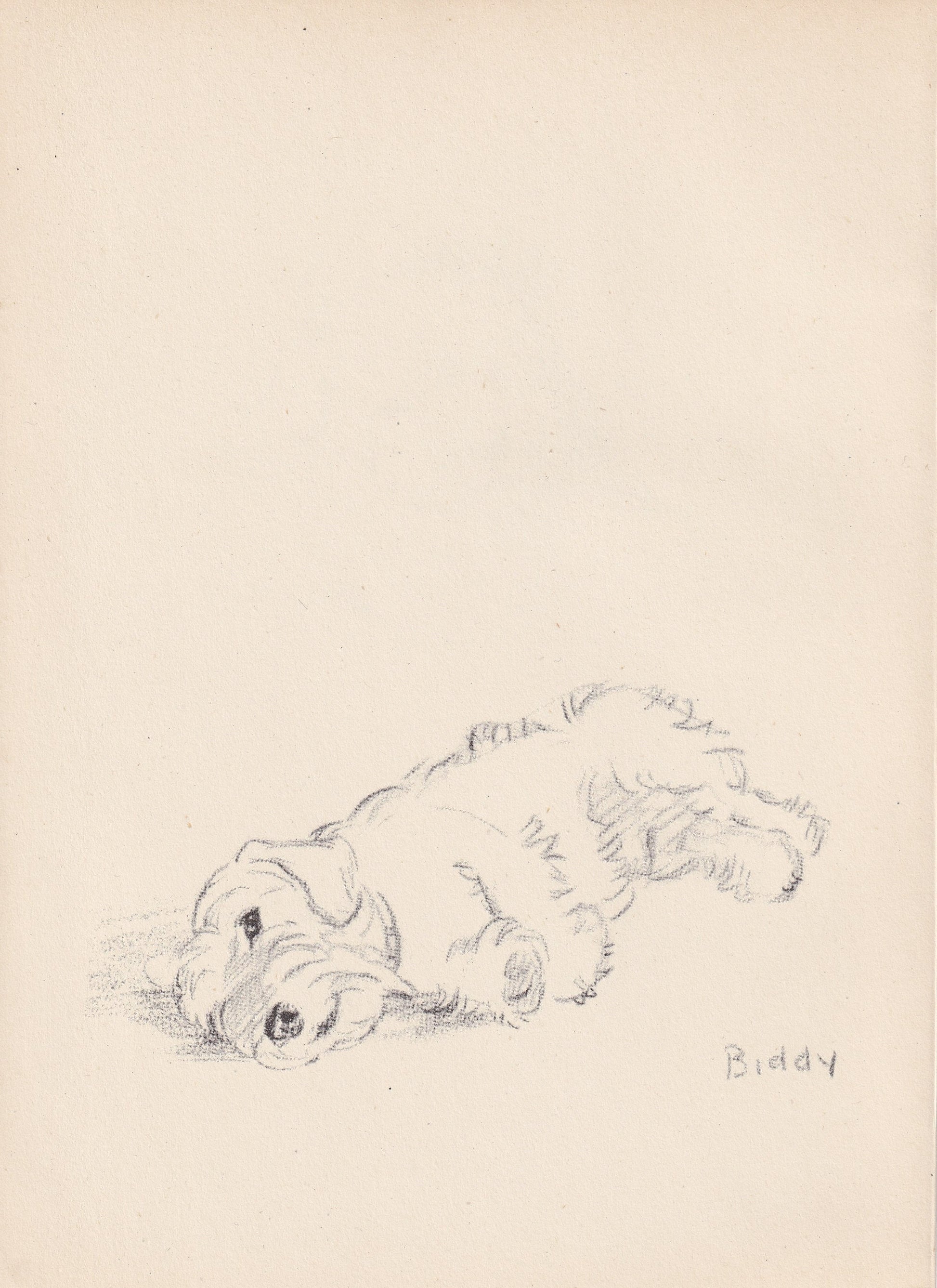 1946 SEALYHAM TERRIER DOG Print - Lucy Dawson - Sealyham Terrier Art - Original Antique Dog Print - Dog Wall Art - Dog Gift - 7 x 9.5 Inches