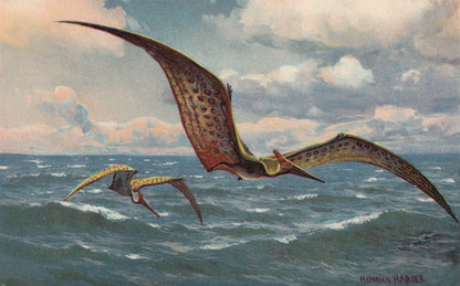 1902 PTERANODON Print - Antique Dinosaur Print - Paleoart - Prehistoric Wall Art - 121 Years Old - 10.5 x 7.5 Inches