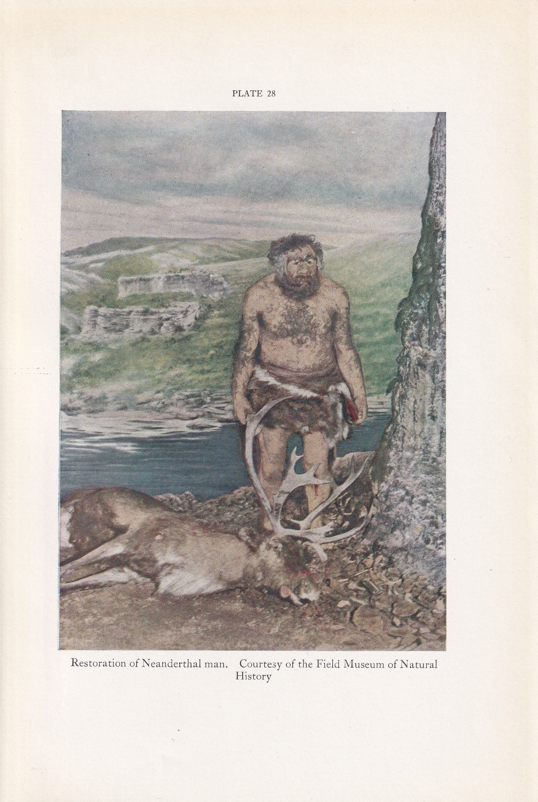 1934 NEANDERTHAL MAN Print - Caveman Print - Original Vintage Print - Paleoart - Caveman - Human History - 89 Years Old - 9.1