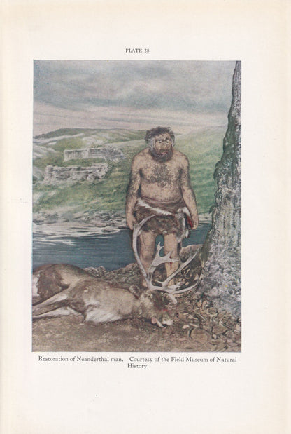 1934 NEANDERTHAL MAN Print - Caveman Print - Original Vintage Print - Paleoart - Caveman - Human History - 89 Years Old - 9.1