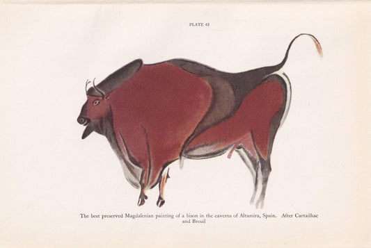 1934 CAVE ART Print - Altamira Bison Print - Original Vintage Print - Paleoart - Caveman - Human History - 89 Years Old - 9.15 x 6 Inches