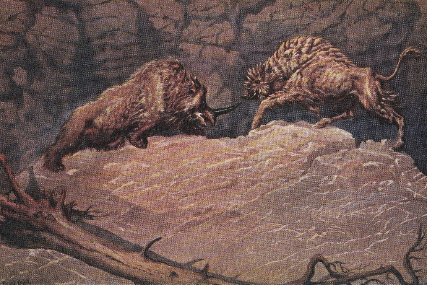 1934 WOOLY RHINOCEROS Print - Megafauna Print - Original Vintage Print - Paleoart - Caveman - Human History - 89 Years Old - 