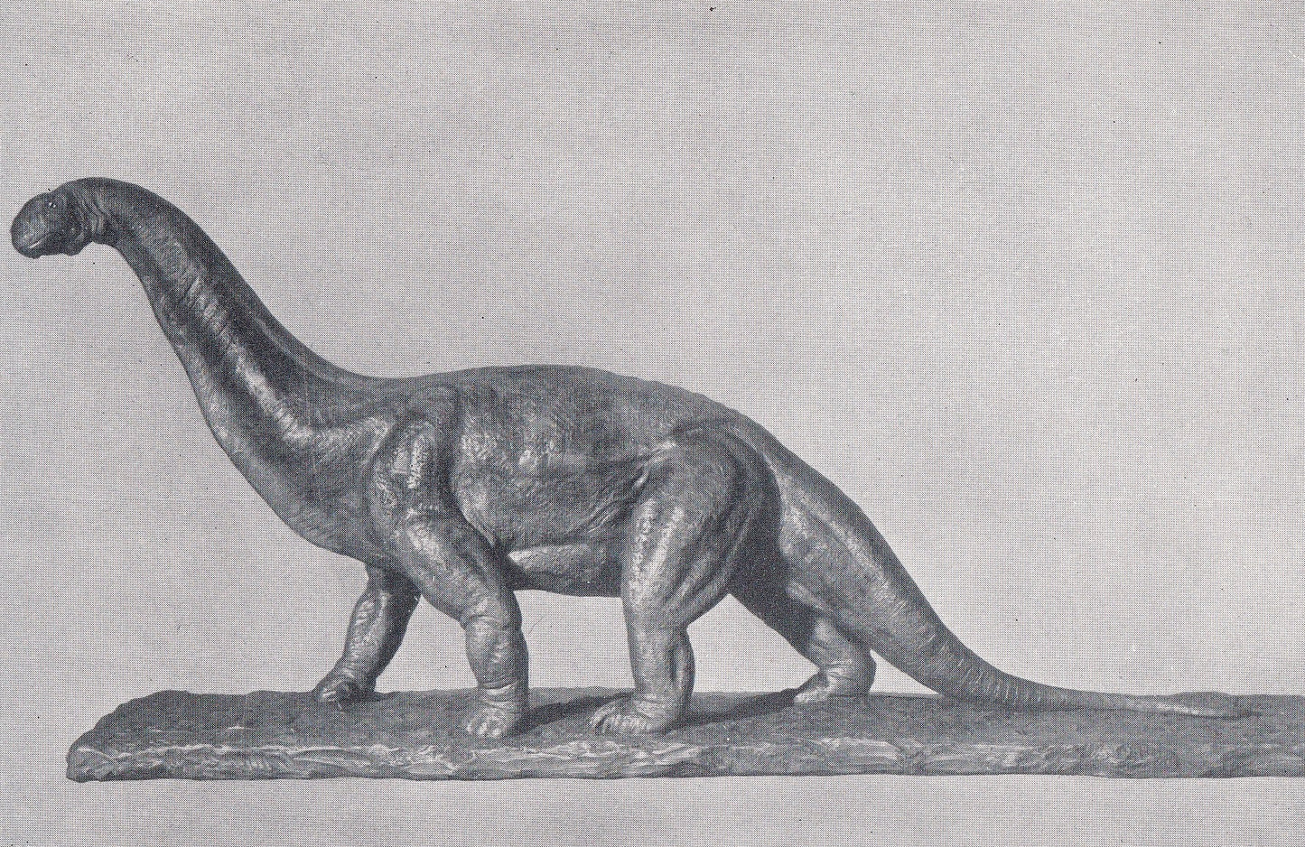 1934 CAMARASAURUS Print - Original Vintage Print - Dinosaur Wall Art - Camarasaurus Wall Art - Paleoart - 89 Years Old - 9.15