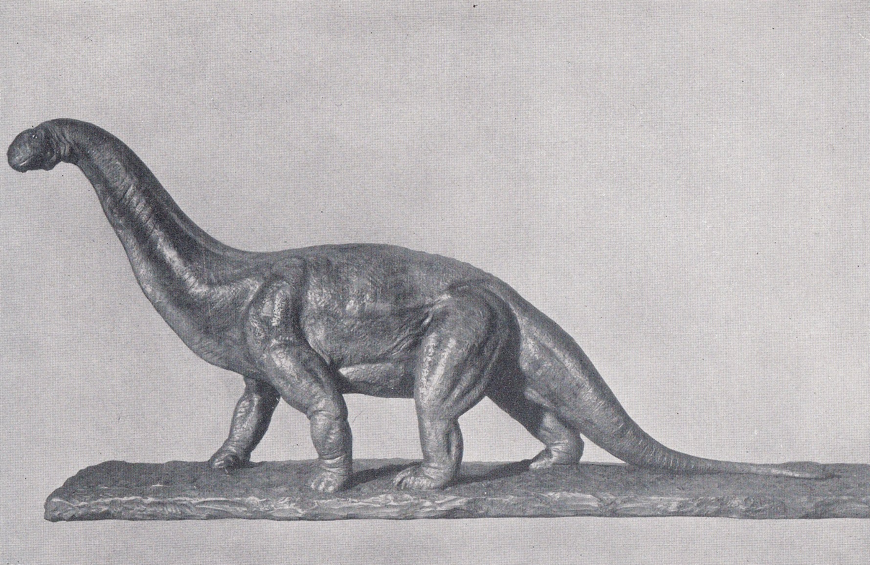 1934 CAMARASAURUS Print - Original Vintage Print - Dinosaur Wall Art - Camarasaurus Wall Art - Paleoart - 89 Years Old - 9.15