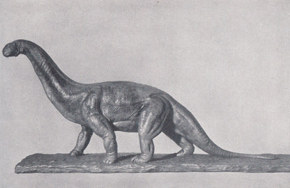 1934 CAMARASAURUS Print - Original Vintage Print - Dinosaur Wall Art - Camarasaurus Wall Art - Paleoart - 89 Years Old - 9.15