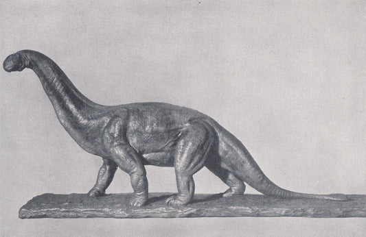 1934 CAMARASAURUS Print - Original Vintage Print - Dinosaur Wall Art - Camarasaurus Wall Art - Paleoart - 89 Years Old - 9.15